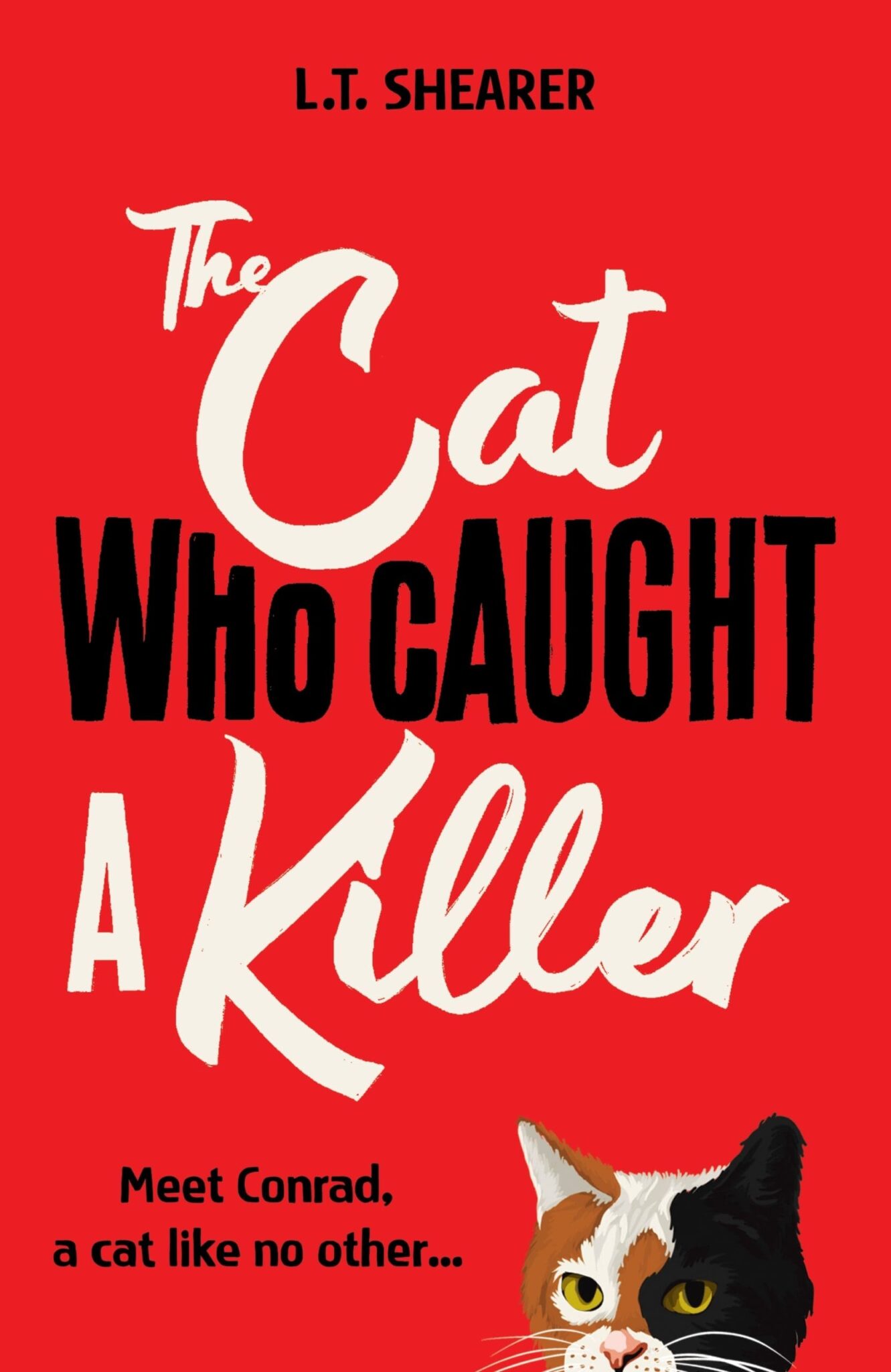 Kitller Cat The Cat Who Caught a Killer | Hit The Road Jacq